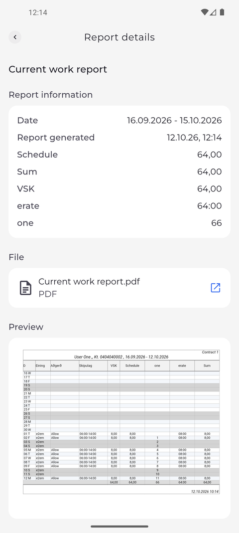 Screenshot: Further down you see a preview of the report itself