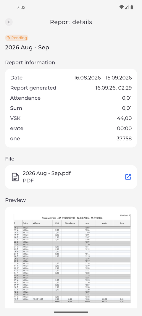 Screenshot: A previous report shows its period, when it was generated and its file